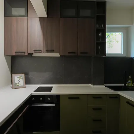Stan Na Dan Bulevar Apartment Belgrade