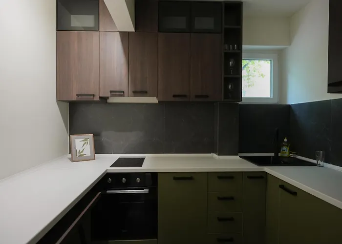 Stan Na Dan Bulevar Appartamento Belgrado